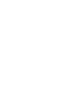 Bali Selected Logo Glyph